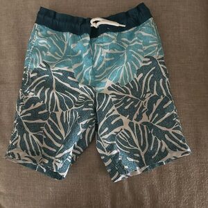 Lands' End Blue and White Board Shorts Swimwear